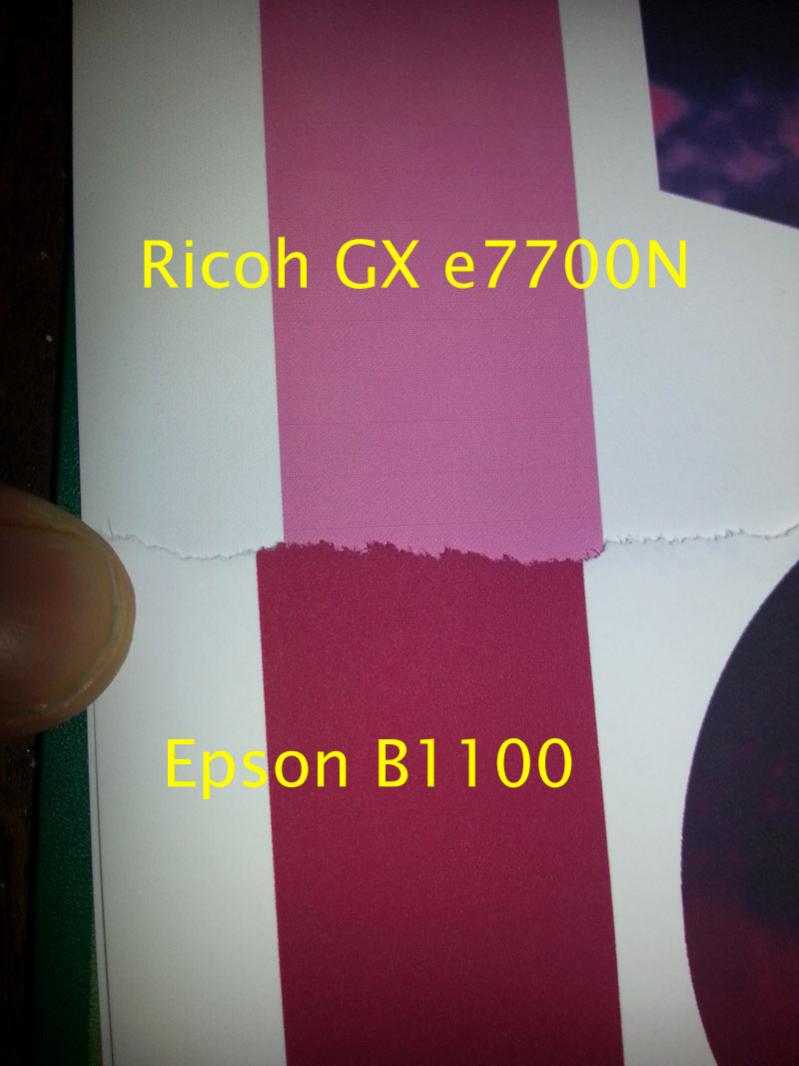 vB_ID:1485