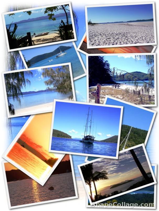 vB_ID:1828