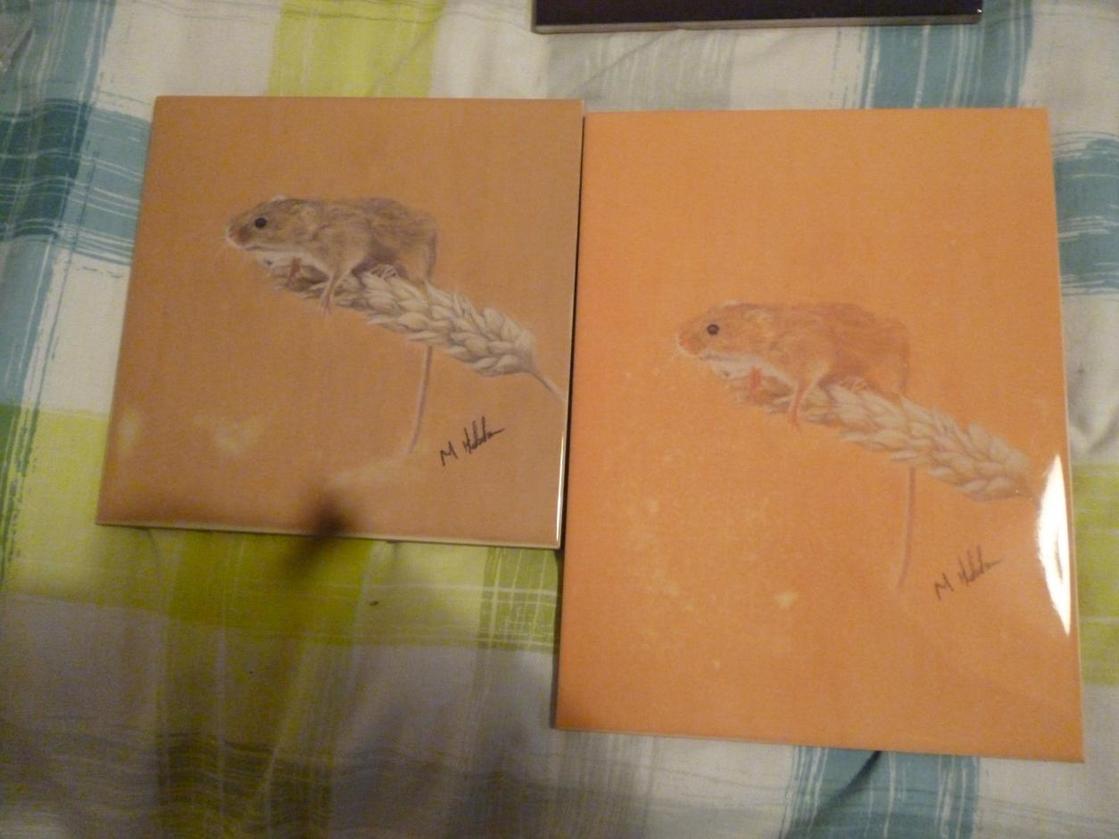 vB_ID:3741