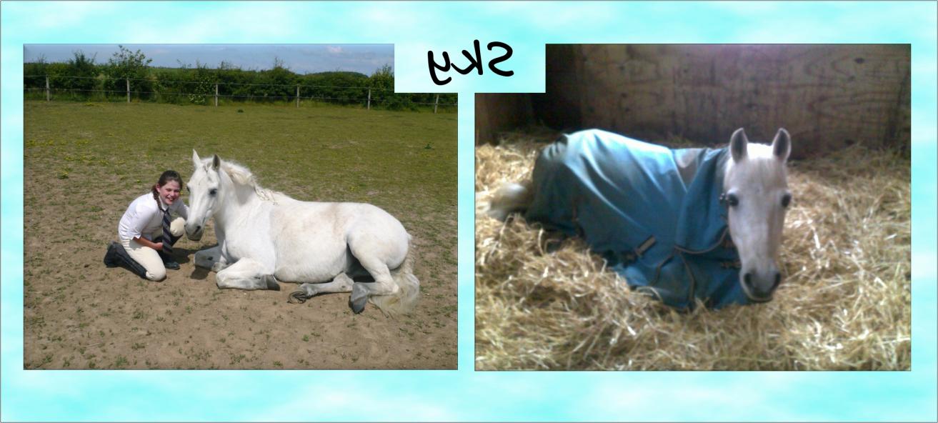 vB_ID:652